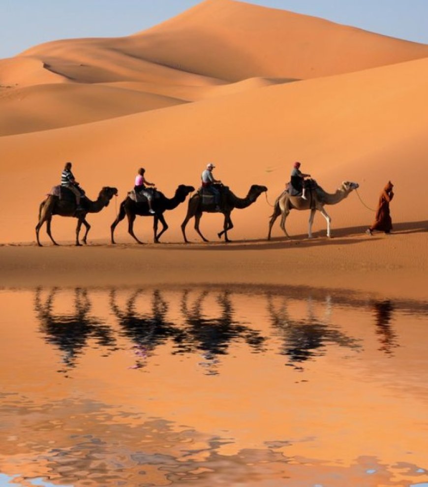 Desert Wonders: Exploring the Extraordinary Landscapes of the World