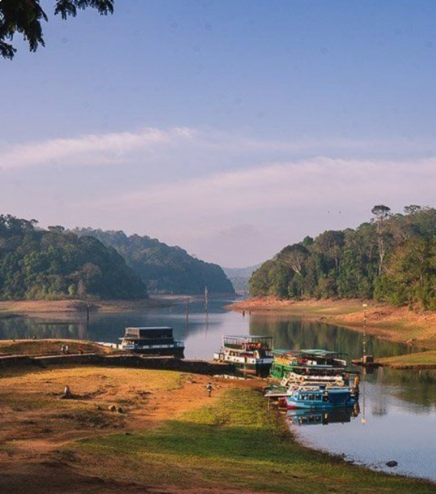 Exploring Kerala's Biodiversity: Top Five National Parks in God's Own Country