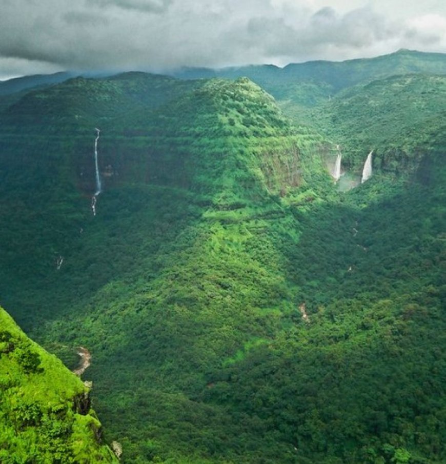Diverse Biodiversity Hotspots of India: A Tapestry of Natural Beauty and Rarity