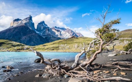 Exploring the Mystical Beauty of the Valley of the Moon