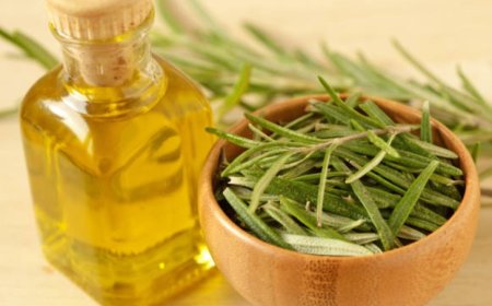 Unlocking the Secrets of Rosemary Oil: Top 10 Benefits for Healthy Hair