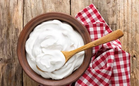 The Top 10 Benefits of Yogurt: A Nutrient-Packed Superfood for Health and Wellness