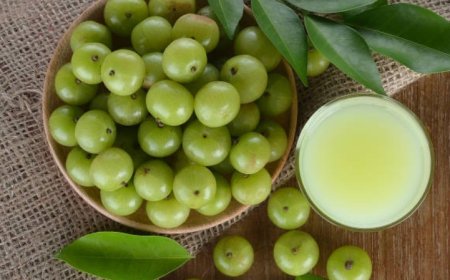 Managing Premature Greying: Top 5 Home Remedies