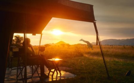 Serengeti National Park: Where Wildlife Roams Free