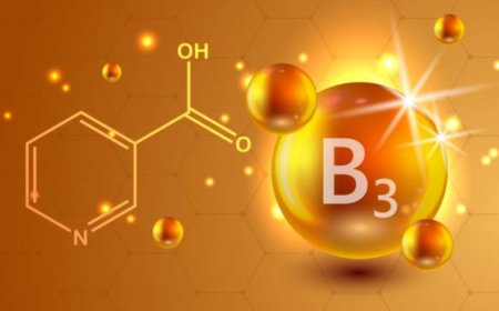 Unlocking the Power of Vitamin B3: Top 10 Benefits and How to Incorporate It into Your Diet
