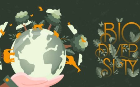 India's Biodiversity Hotspots: A Treasure Trove of Natural Diversity