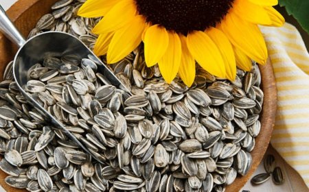 Unlocking the Power of Sunflower Seeds: Top 5 Benefits and Nutritional Insights