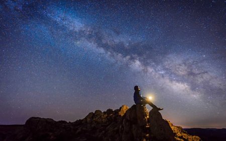 Gaganyaan: India's Human Spaceflight Program