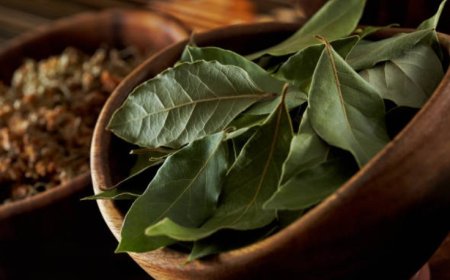Unlocking the Power of Bay Leaves: 10 Health Benefits and Culinary Delights