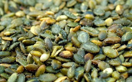 The Top 10 Health Benefits of Pumpkin Seeds