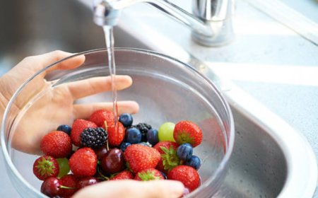 The Nutritional Powerhouse: Top 10 Health Benefits of Berries