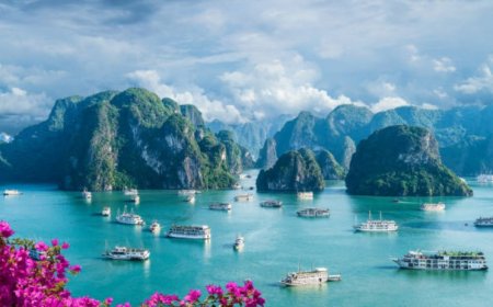 Exploring the Enchanting Beauty of Ha Long Bay