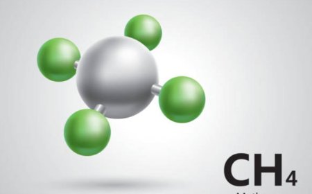 The Impact of Methane Emissions on Climate Change