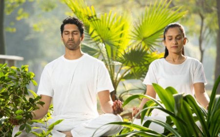 A Beginner's Guide to Meditation