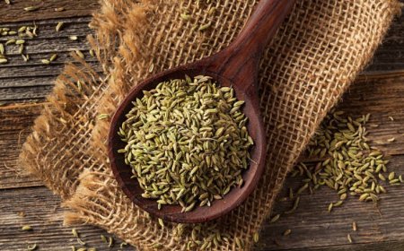 Unlocking the Potential of Fennel: A Comprehensive Guide to Its Top 10 Health Benefits