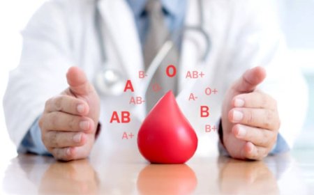 Understanding Blood Groups: Types, Compatibility, and Significance