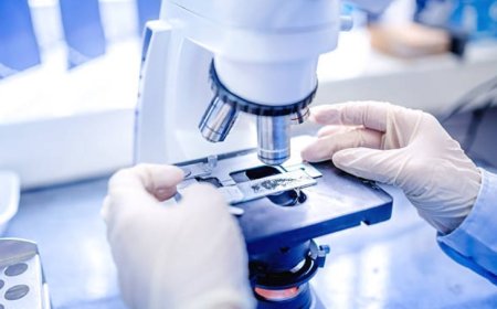 Nanotechnology in Everyday Products and Industries: Current Applications and Future Prospects