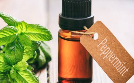 Unlocking the Many Benefits of Peppermint: From Digestion to Stress Relief