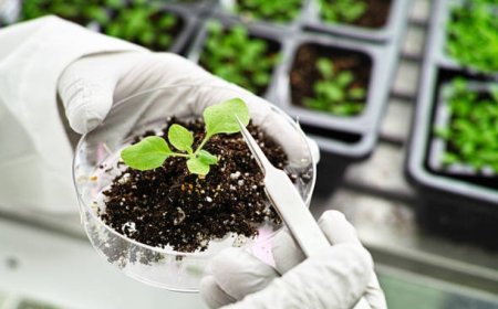 Exploring the Ethical and Environmental Concerns of Biotechnology