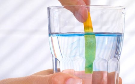 What is pH Level of Water and How to Change It?