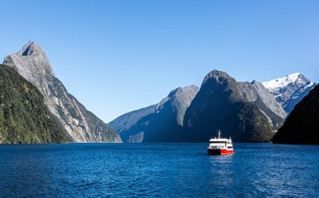 Top 5 Places to Visit in New Zealand
