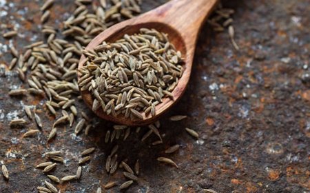 Top 10 Benefits of Cumin Seeds