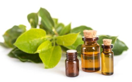 Top 5 Benefits of Camphor Oil: A Comprehensive Guide