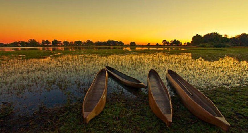 Exploring the Wonders of Botswana: Top 5 Must-Visit Destinations