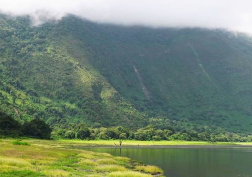 Exploring the Enchanting Valleys of the Western Ghats