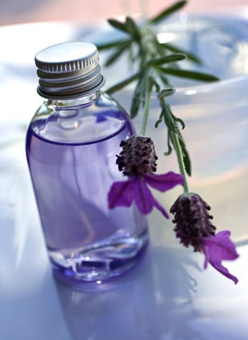 Unlocking the Potential of Lavender Oil for Hair Health