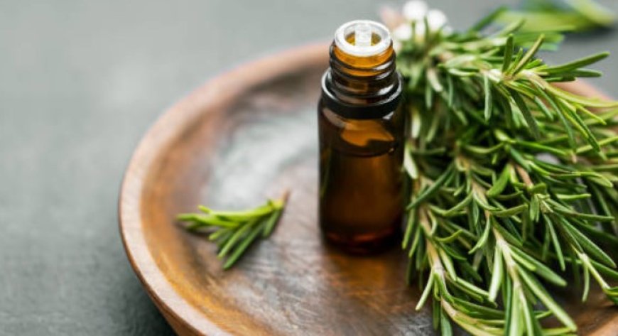 Unlocking the Power of Rosemary Oil for Face Care