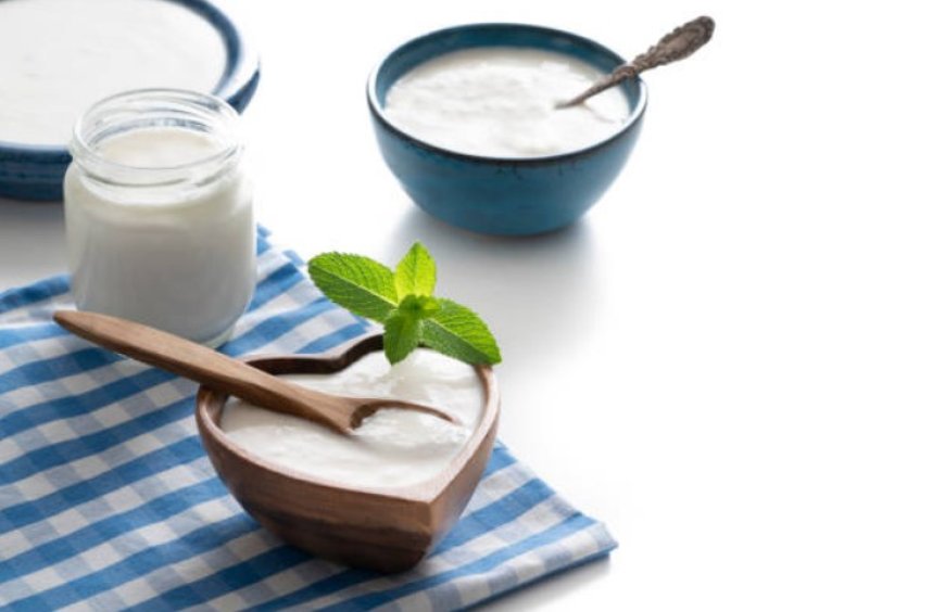 The Top 10 Benefits of Yogurt: A Nutrient-Packed Superfood for Health and Wellness