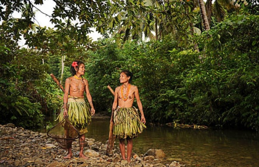 The Great Andamanese Tribes: Guardians of a Vanishing Culture