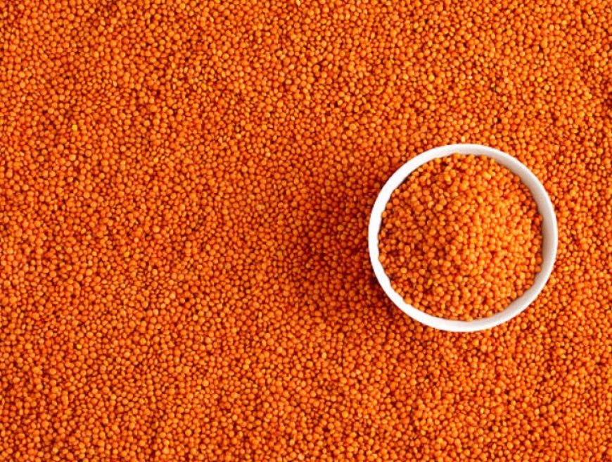 The Health Benefits of Red Lentils: A Nutrient-Rich Superfood