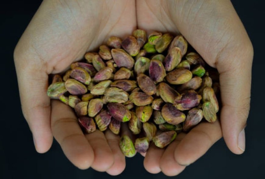 Unlocking the Green Gold: The Fascinating World of Pistachios