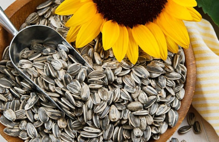 Unlocking the Power of Sunflower Seeds: Top 5 Benefits and Nutritional Insights