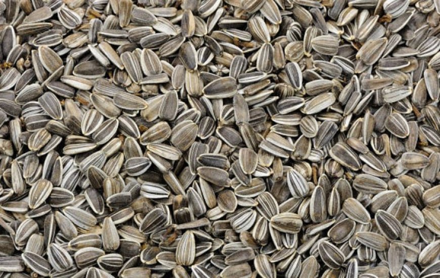 Unlocking the Power of Sunflower Seeds: Top 5 Benefits and Nutritional Insights