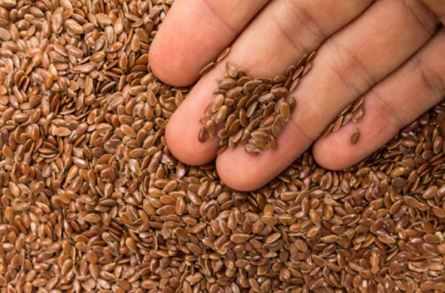 Unlocking the Nutritional Goldmine: The Top 10 Benefits of Flaxseeds