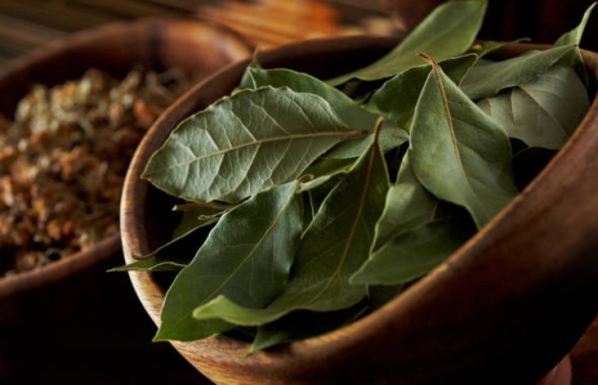 Unlocking the Power of Bay Leaves: 10 Health Benefits and Culinary Delights