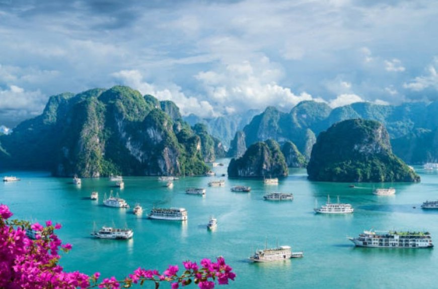 Exploring the Enchanting Beauty of Ha Long Bay