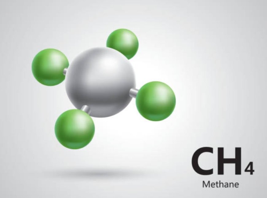 The Impact of Methane Emissions on Climate Change