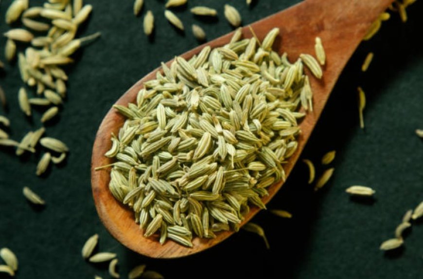 Unlocking the Potential of Fennel: A Comprehensive Guide to Its Top 10 Health Benefits