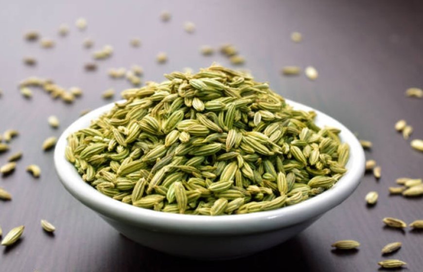 Unlocking the Potential of Fennel: A Comprehensive Guide to Its Top 10 Health Benefits