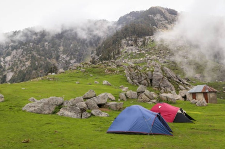 Exploring the World of Camping: Unleash Your Inner Adventurer