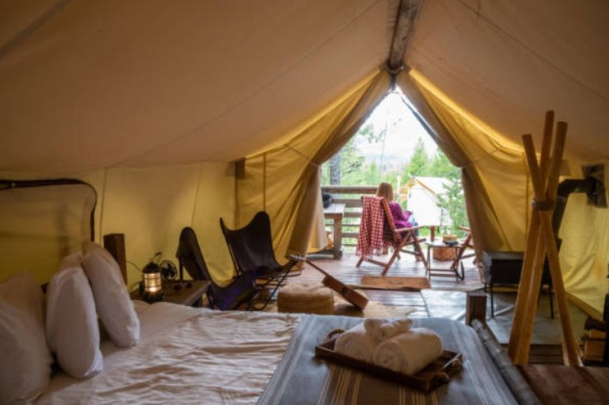 Luxury in the Wild: Exploring the World of Glamping