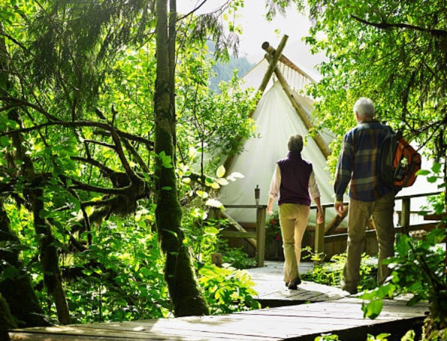 Luxury in the Wild: Exploring the World of Glamping