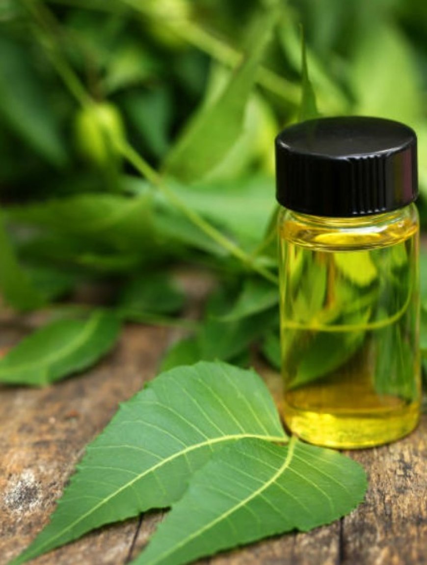 The Power of Neem Oil: A Natural Solution for Health and Wellness