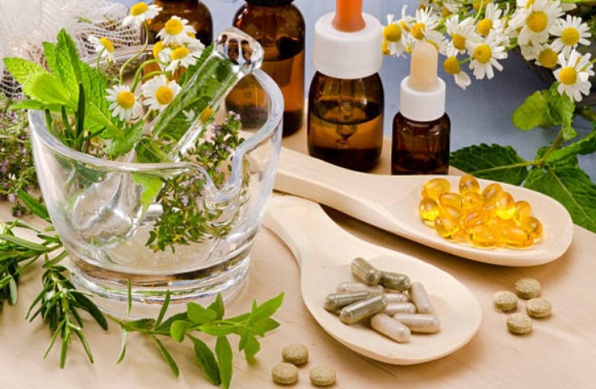 Nature's Medicinal Bounty: Top 10 Herbal Plants for Health and Wellness