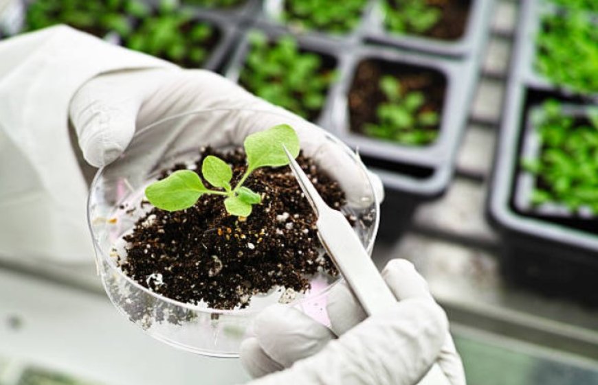 Exploring the Ethical and Environmental Concerns of Biotechnology