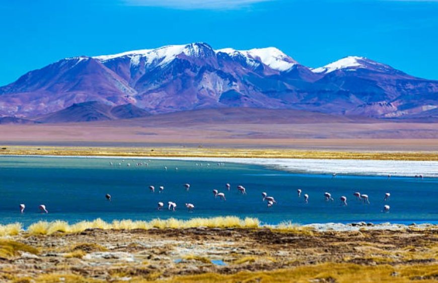 Exploring the Enchanting Atacama Desert: A Journey Through Nature's Wonderland